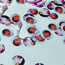 1000 of circle shape Printfetti wedding and party confetti personalised custom photo photograph decoration